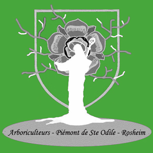 Logo de l'Association de Arboriculteurs du Piémont de Sainte Odile