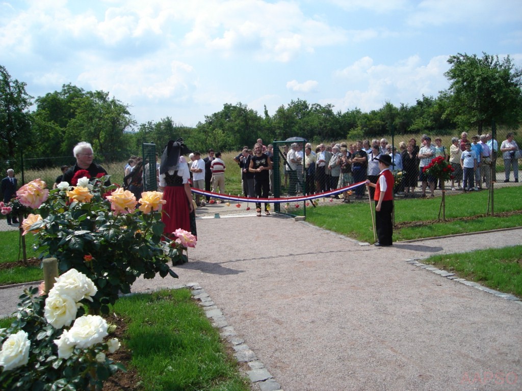 AAPSO-inauguration_01