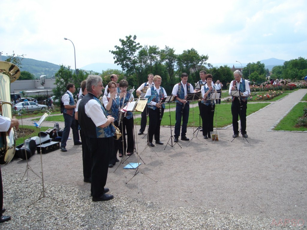 AAPSO-inauguration_04