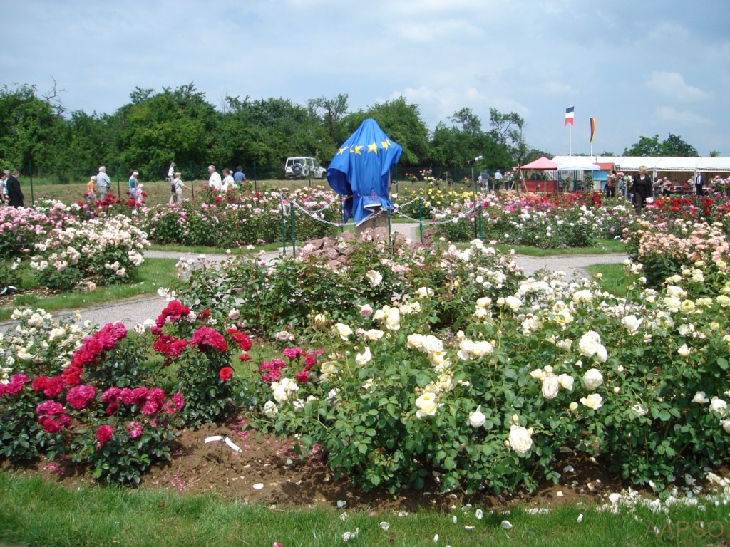 AAPSO-inauguration_05