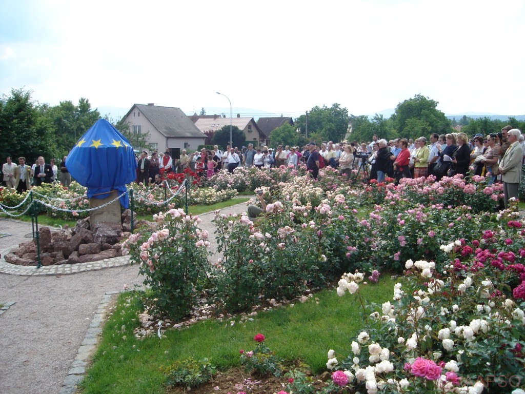 AAPSO-inauguration_06