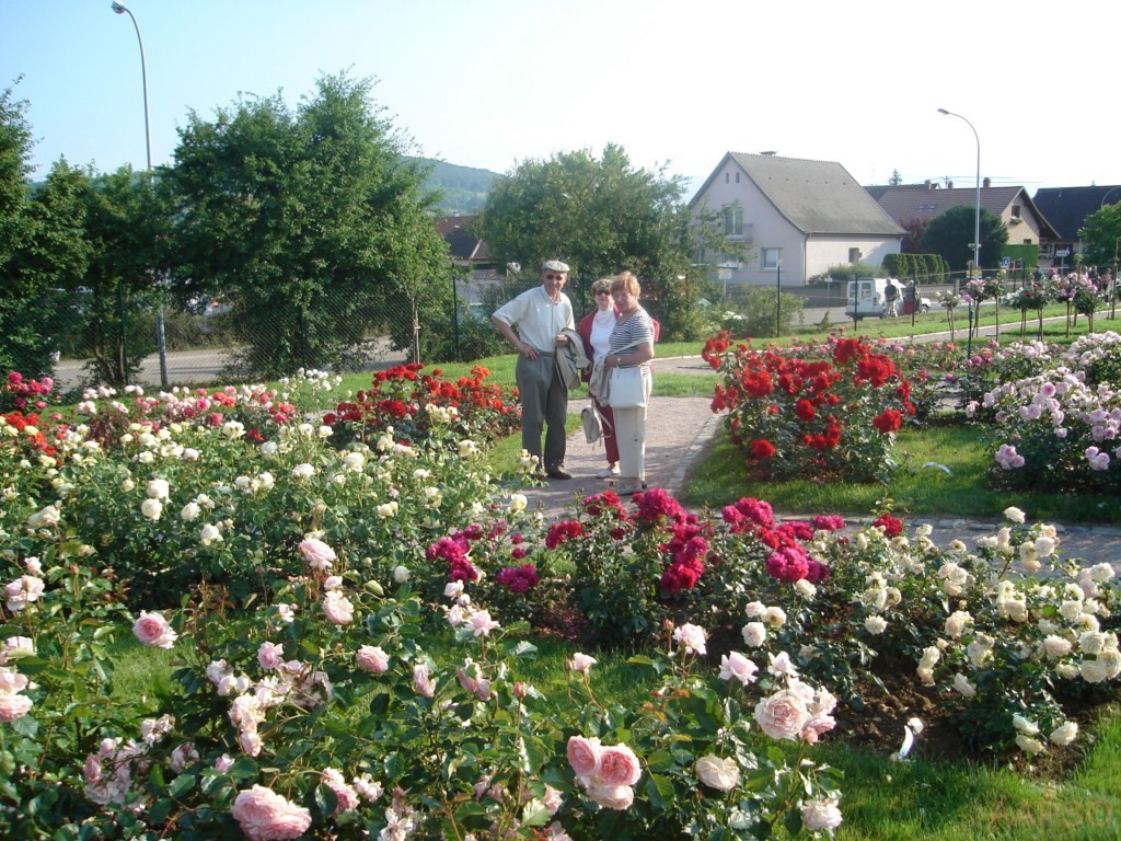 AAPSO-inauguration_09