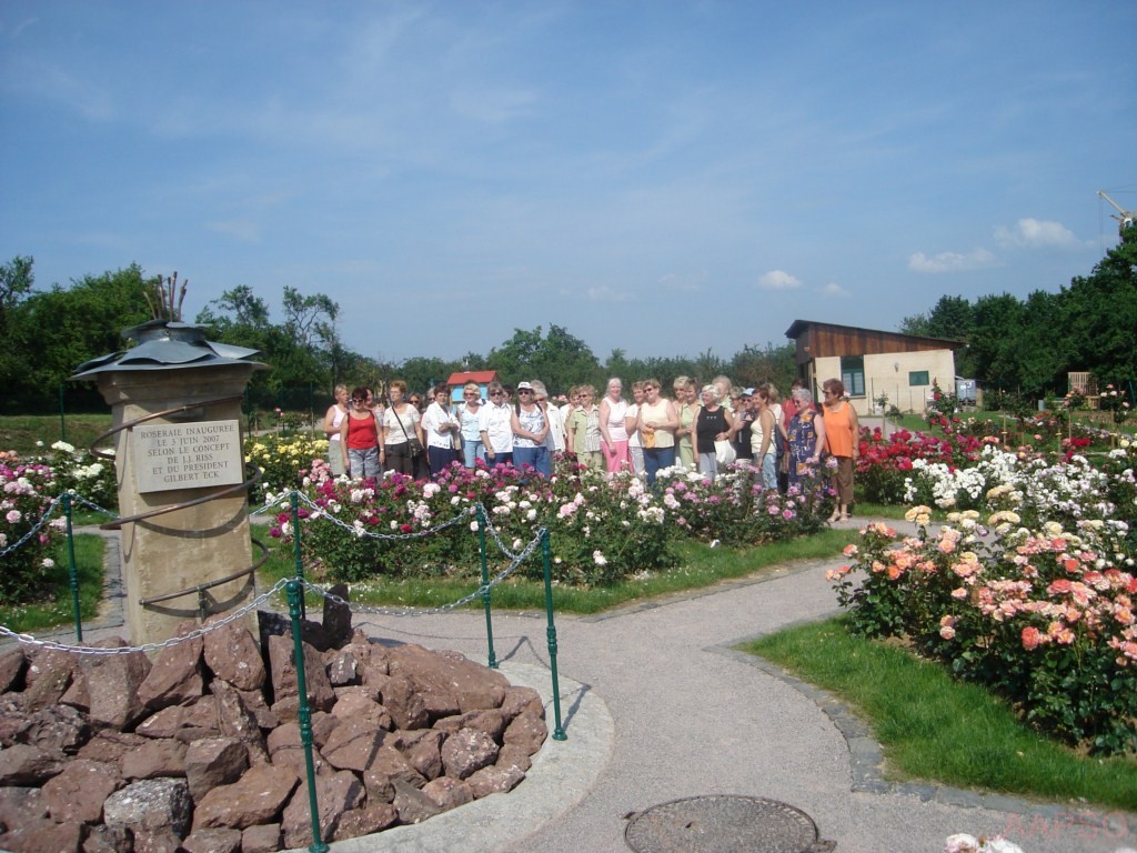 AAPSO-inauguration_10